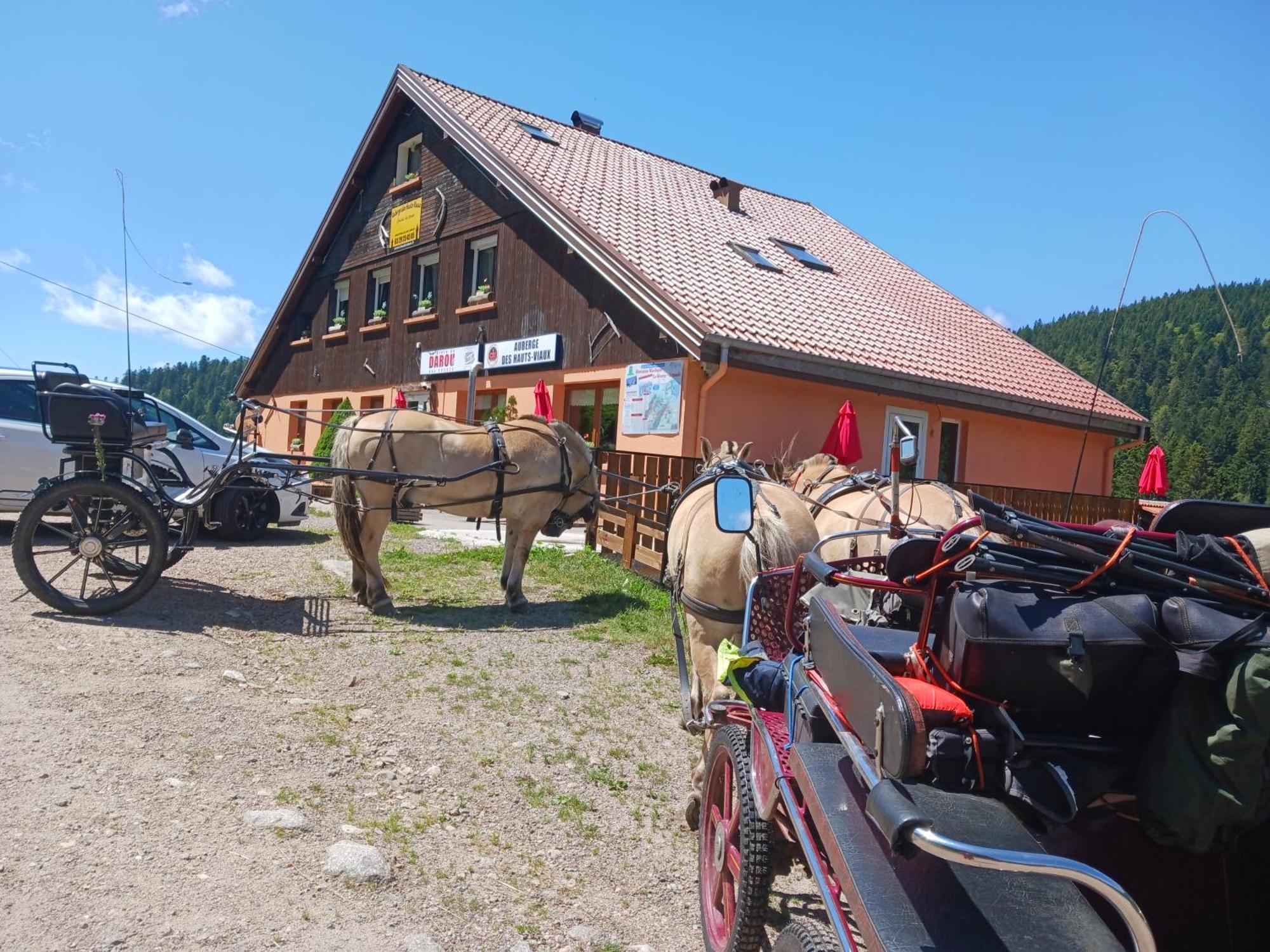 Domaine Des Hauts Viaux ラ・ブレス エクステリア 写真