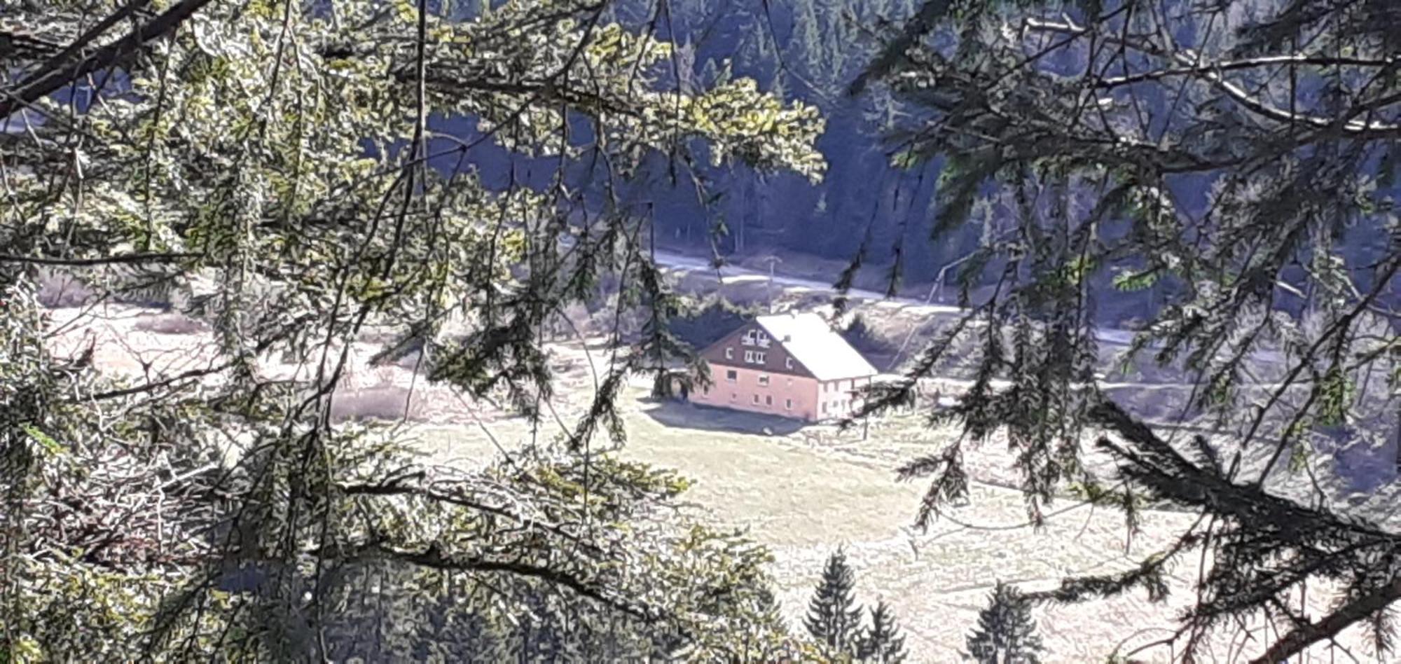 Domaine Des Hauts Viaux ラ・ブレス エクステリア 写真