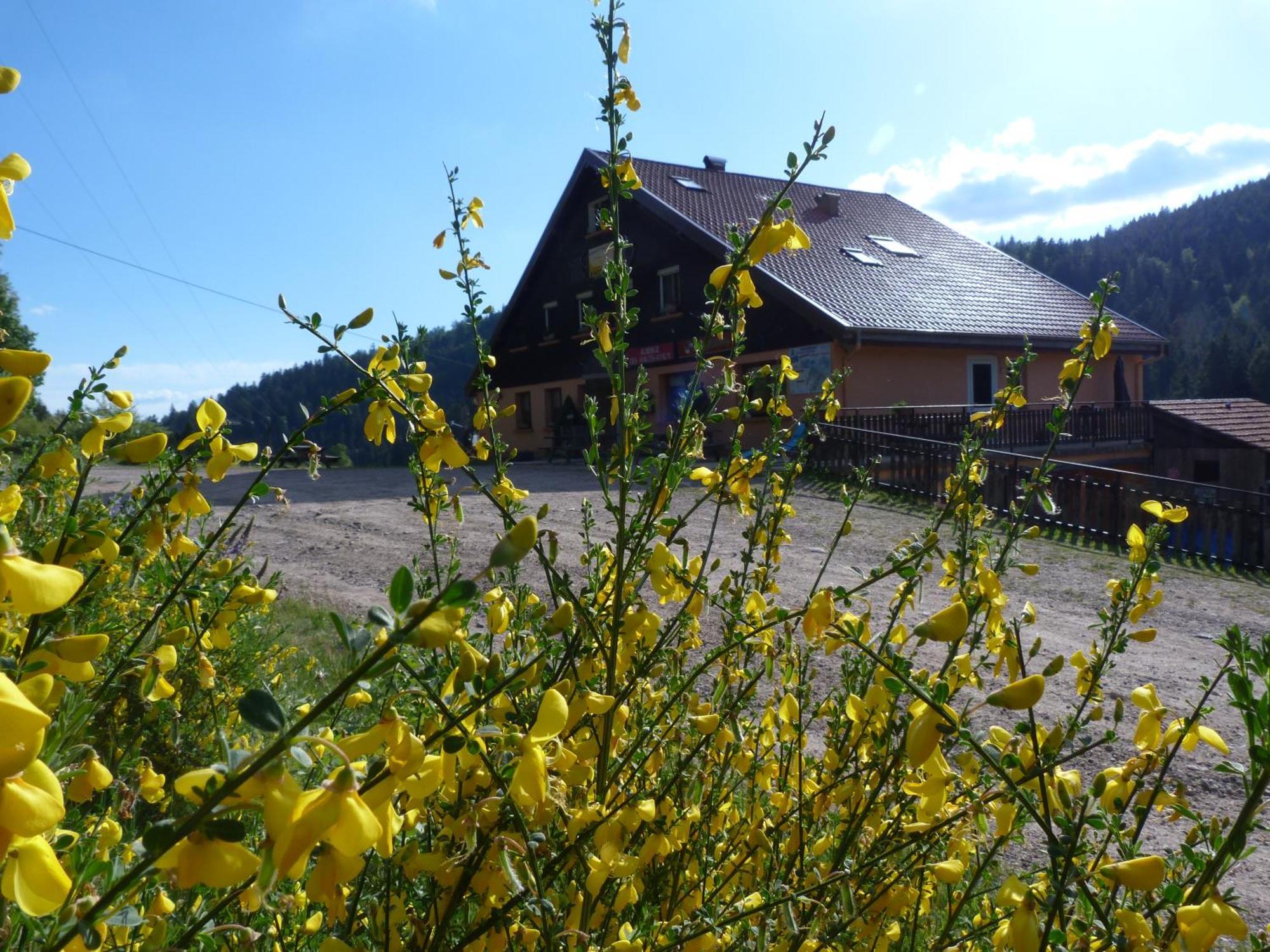 Domaine Des Hauts Viaux ラ・ブレス エクステリア 写真