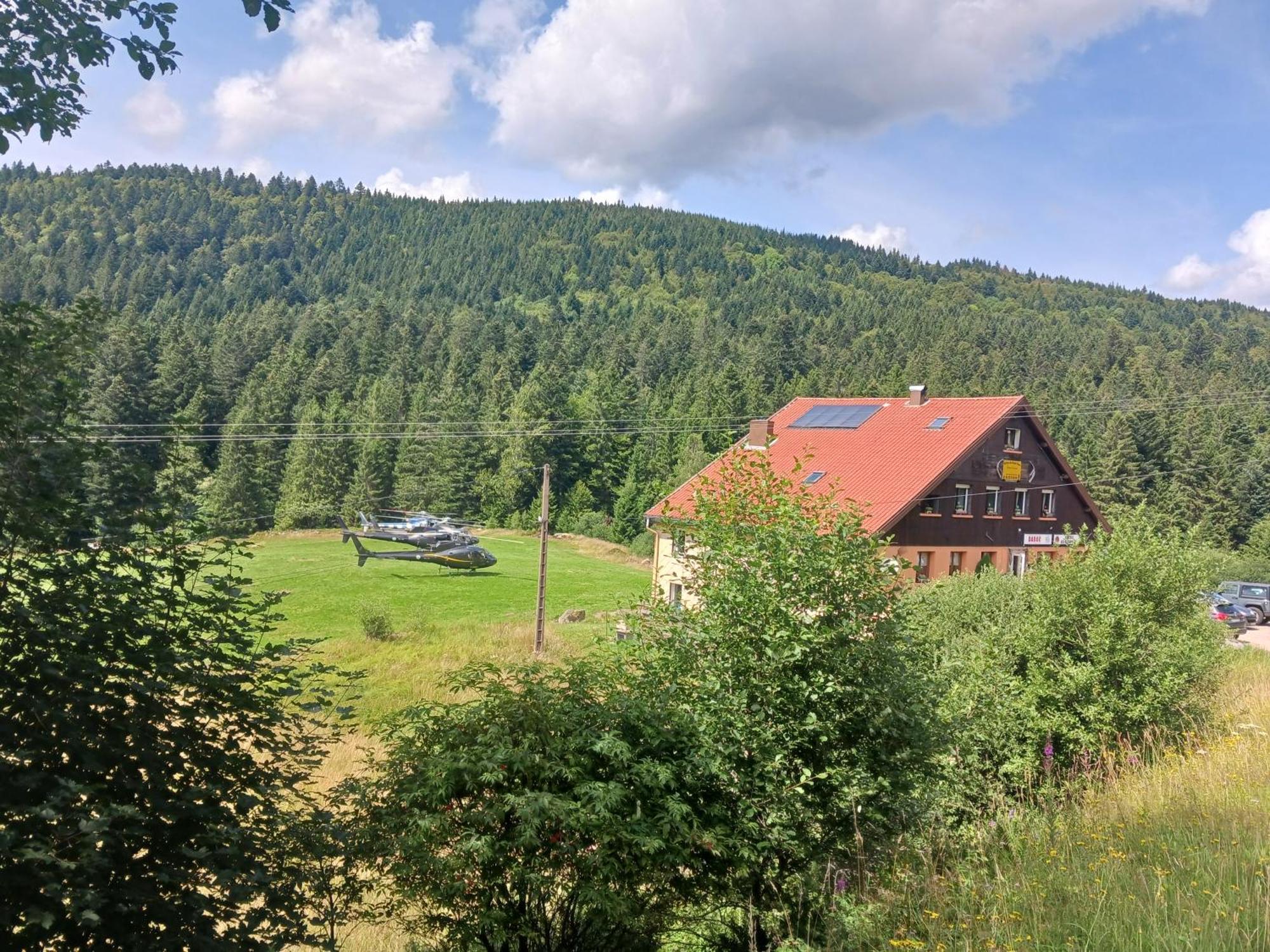 Domaine Des Hauts Viaux ラ・ブレス エクステリア 写真