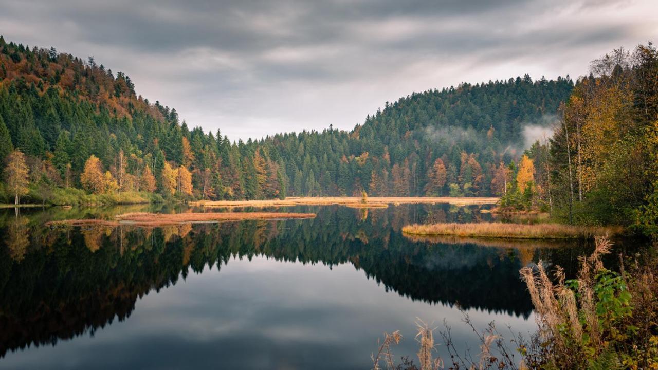 Domaine Des Hauts Viaux ラ・ブレス エクステリア 写真