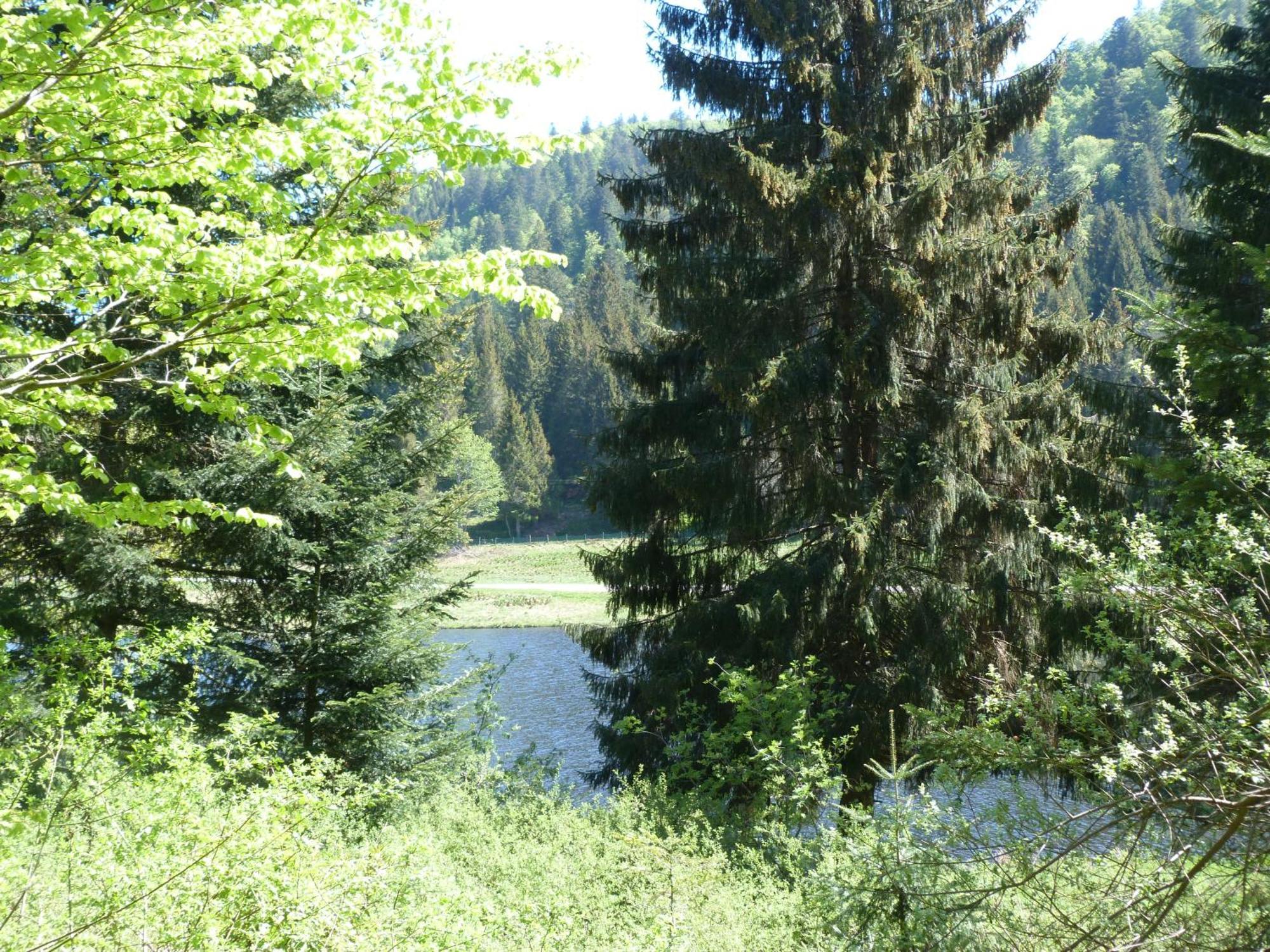 Domaine Des Hauts Viaux ラ・ブレス エクステリア 写真
