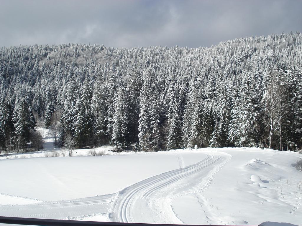 Domaine Des Hauts Viaux ラ・ブレス エクステリア 写真